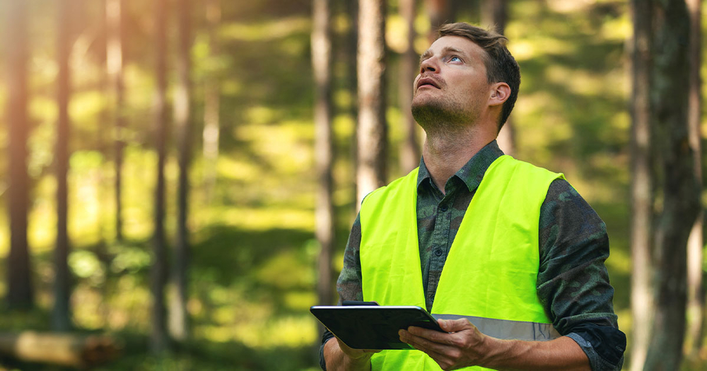 Worker out in woods