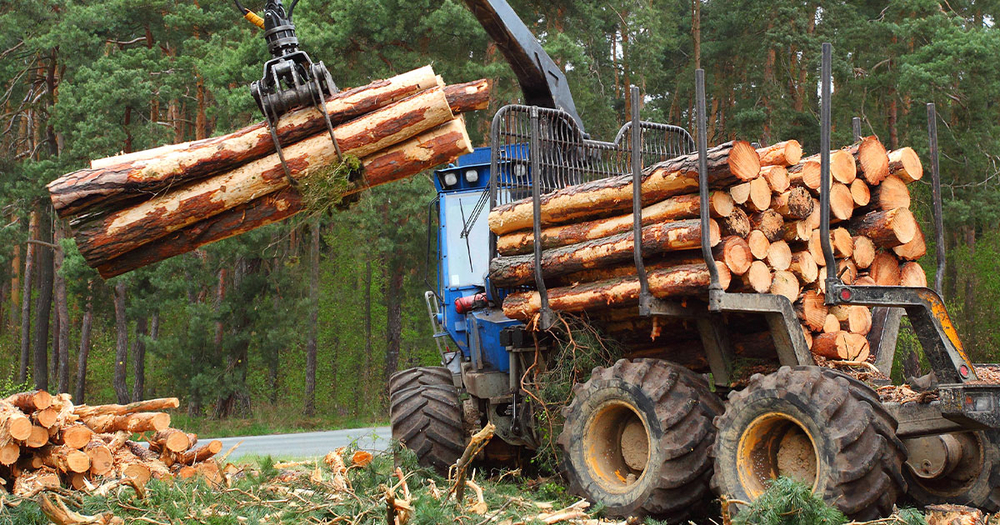 Large crane picking up lumber