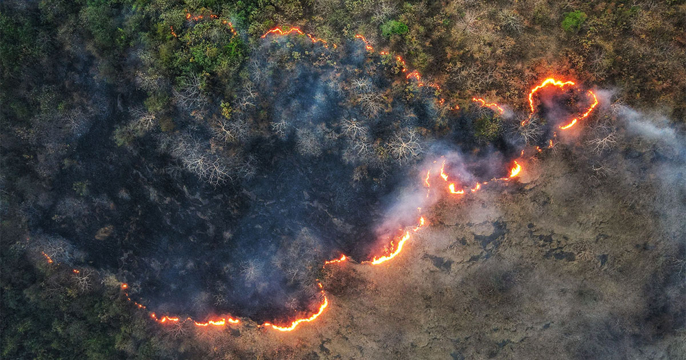 Aerial-shot-of-forest-fire