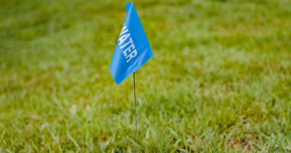 A blue water survey flag in the grass.